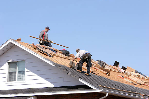 Best Emergency Roof Repair Services  in Citrus Park, FL