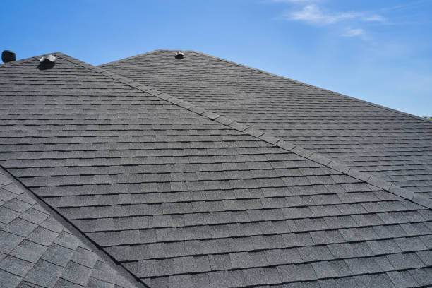 Trusted Citrus Park, FL Roofing service Experts