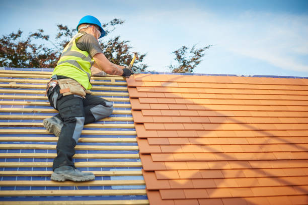 Steel Roofing in Citrus Park, FL